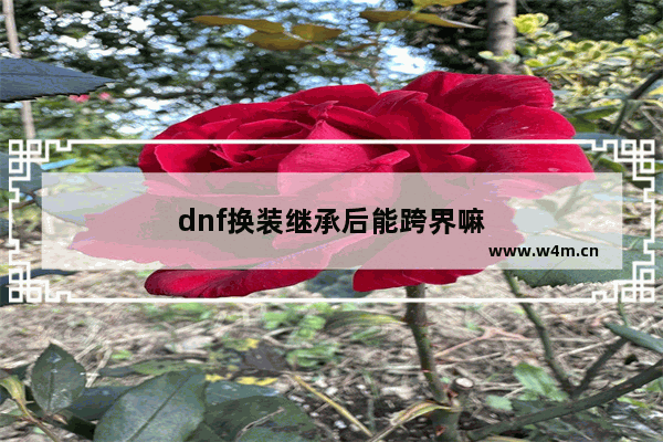 dnf换装继承后能跨界嘛