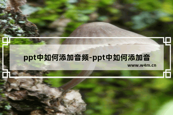 ppt中如何添加音频-ppt中如何添加音频并播放