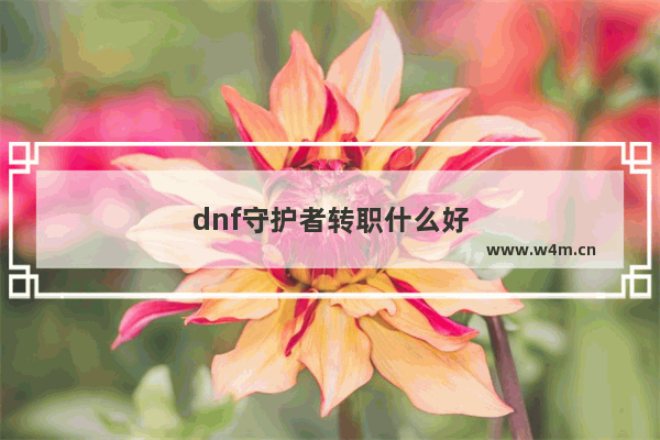 dnf守护者转职什么好