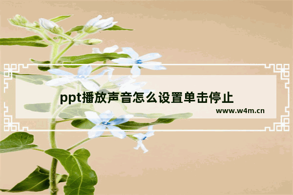 ppt播放声音怎么设置单击停止