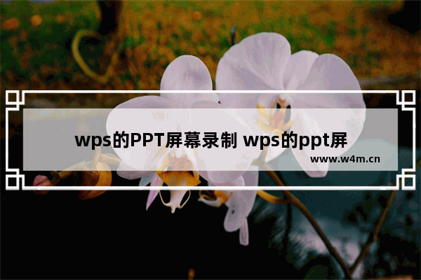 wps的PPT屏幕录制 wps的ppt屏幕录制打不开