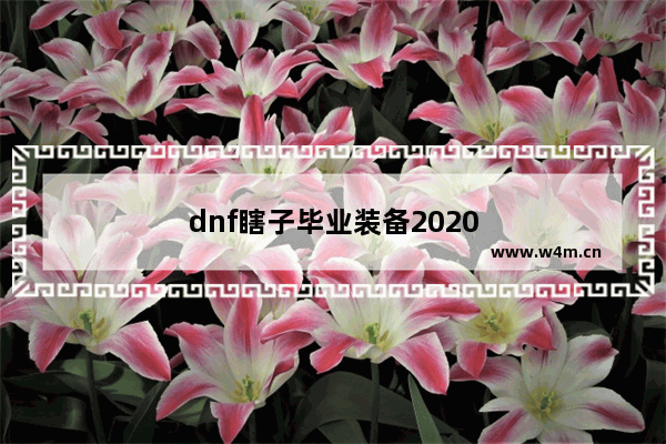 dnf瞎子毕业装备2020