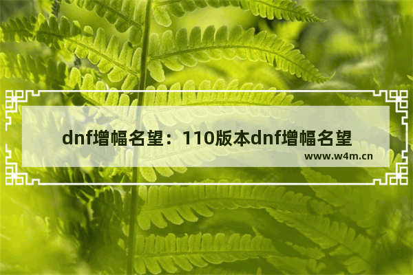 dnf增幅名望：110版本dnf增幅名望改版几号