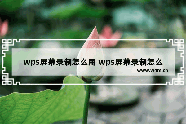 wps屏幕录制怎么用 wps屏幕录制怎么用不了