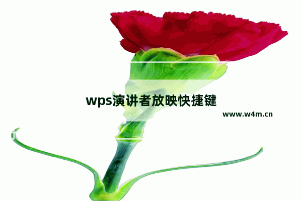 wps演讲者放映快捷键