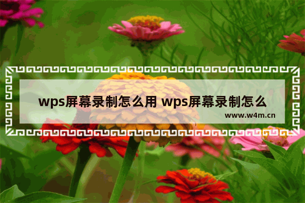 wps屏幕录制怎么用 wps屏幕录制怎么用不了