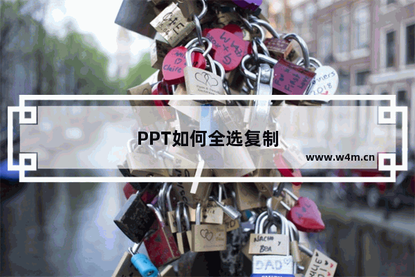 PPT如何全选复制