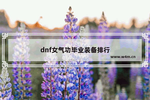 dnf女气功毕业装备排行