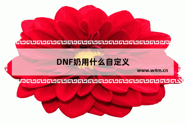 DNF奶用什么自定义