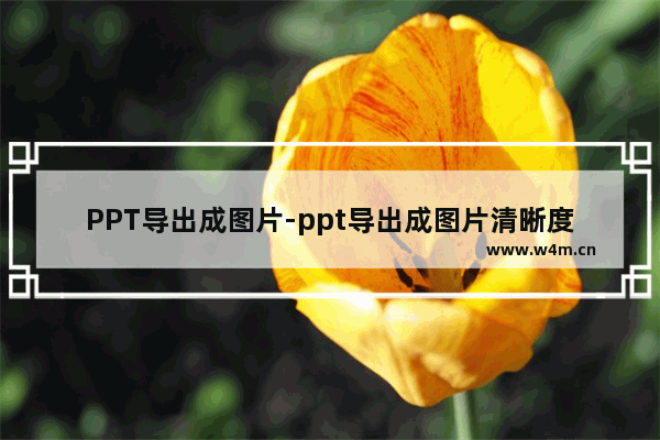 PPT导出成图片-ppt导出成图片清晰度