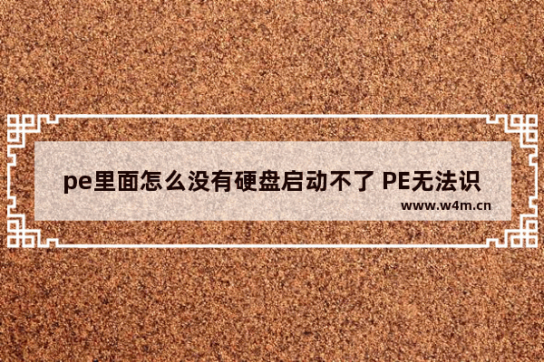 pe里面怎么没有硬盘启动不了 PE无法识别硬盘，导致无法启动