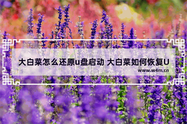 大白菜怎么还原u盘启动 大白菜如何恢复U盘启动界面