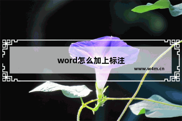 word怎么加上标注