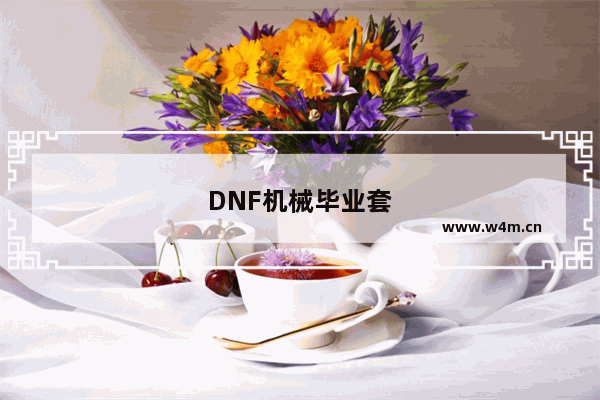 DNF机械毕业套