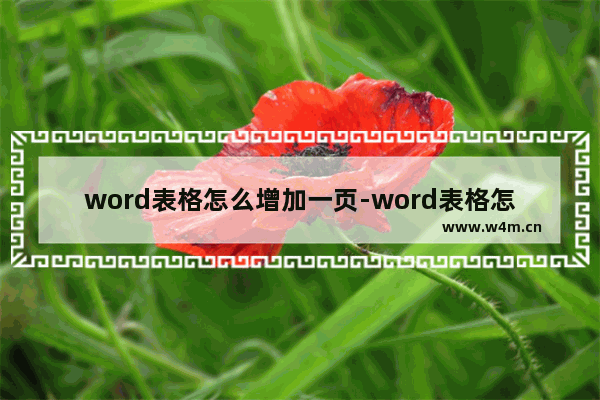 word表格怎么增加一页-word表格怎么增加一页一模一样的