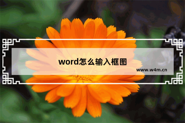 word怎么输入框图