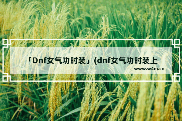 「Dnf女气功时装」(dnf女气功时装上衣选什么技能2021)