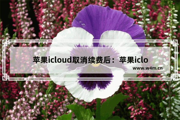 苹果icloud取消续费后：苹果icloud取消续费后如何不让多出来的东西清除