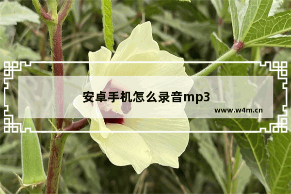 安卓手机怎么录音mp3