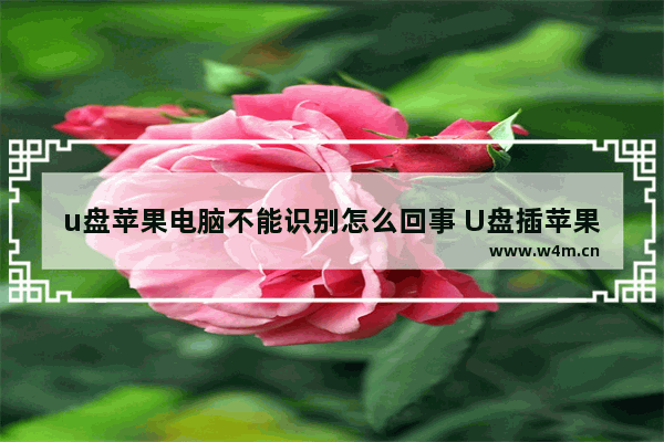 u盘苹果电脑不能识别怎么回事 U盘插苹果电脑无法识别的解决方法