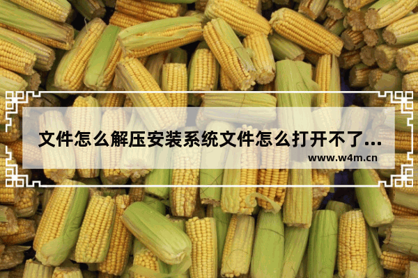 文件怎么解压安装系统文件怎么打开不了 文件解压及系统文件打开解决方案