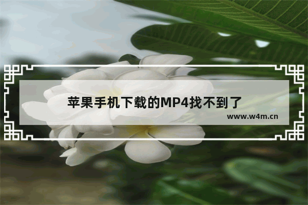 苹果手机下载的MP4找不到了