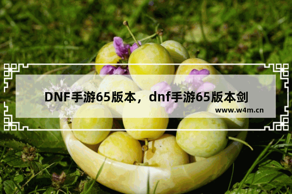 DNF手游65版本，dnf手游65版本剑宗加点