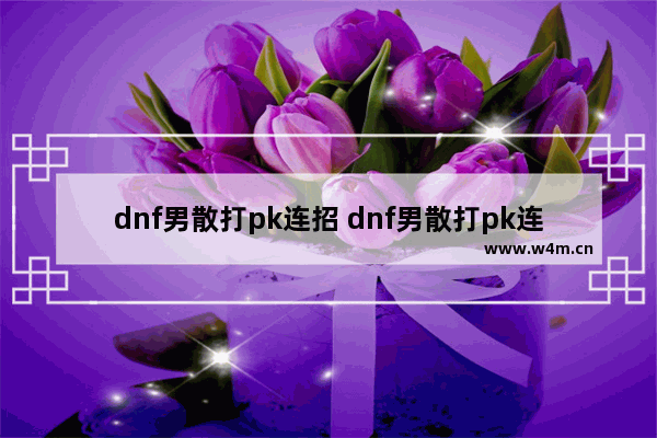 dnf男散打pk连招 dnf男散打pk连招视频