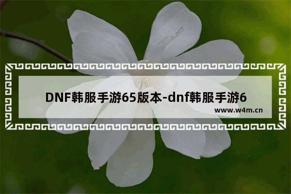 DNF韩服手游65版本-dnf韩服手游65版本大枪加点