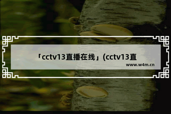 「cctv13直播在线」(cctv13直播在线观看高清直)