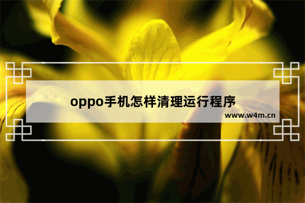 oppo手机怎样清理运行程序