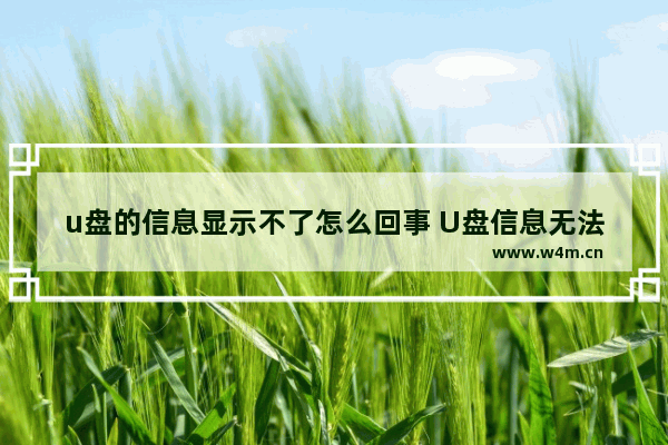 u盘的信息显示不了怎么回事 U盘信息无法显示，如何解决？