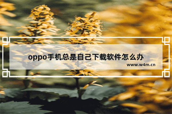 oppo手机总是自己下载软件怎么办