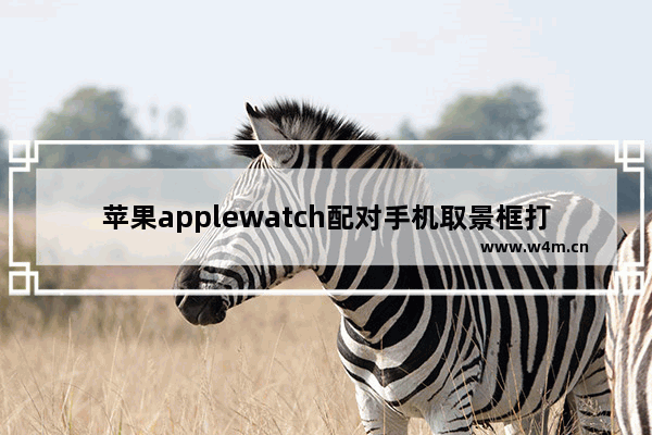 苹果applewatch配对手机取景框打不开