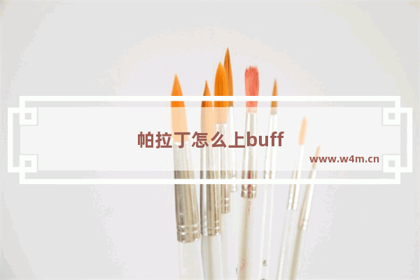 帕拉丁怎么上buff