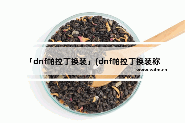 「dnf帕拉丁换装」(dnf帕拉丁换装称号怎么获得)