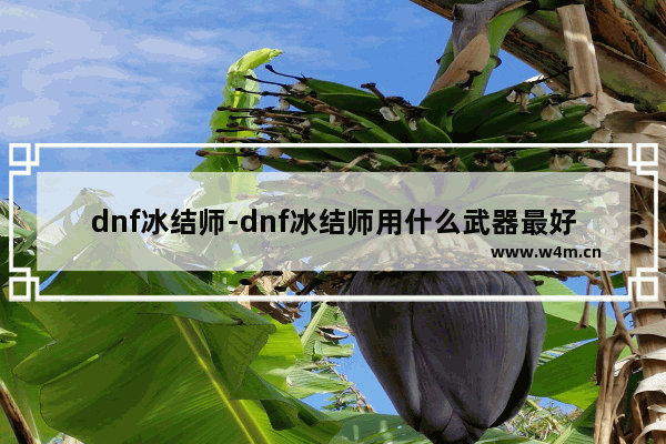 dnf冰结师-dnf冰结师用什么武器最好