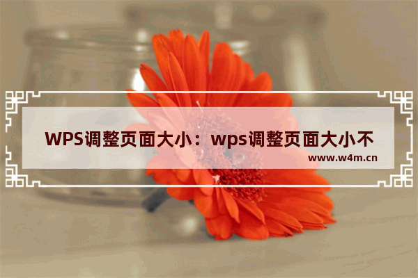 WPS调整页面大小：wps调整页面大小不见了