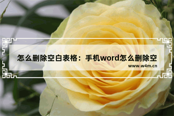 怎么删除空白表格：手机word怎么删除空白表格