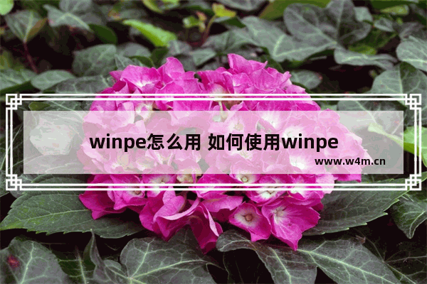 winpe怎么用 如何使用winpe