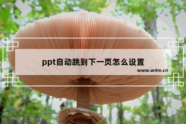 ppt自动跳到下一页怎么设置