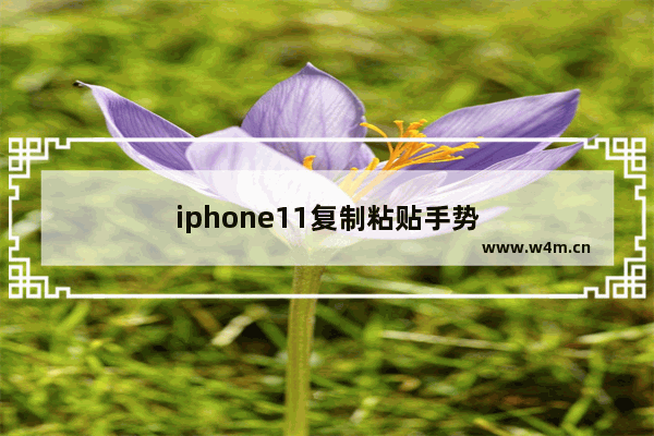 iphone11复制粘贴手势