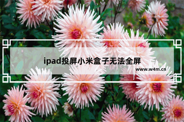 ipad投屏小米盒子无法全屏