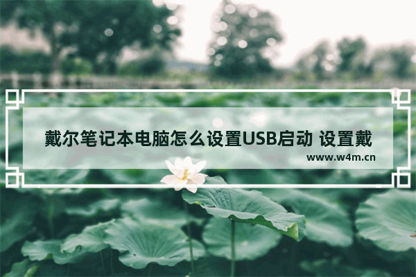 戴尔笔记本电脑怎么设置USB启动 设置戴尔电脑USB启动方法