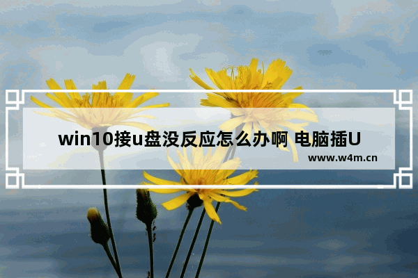 win10接u盘没反应怎么办啊 电脑插U盘无反应怎么办？