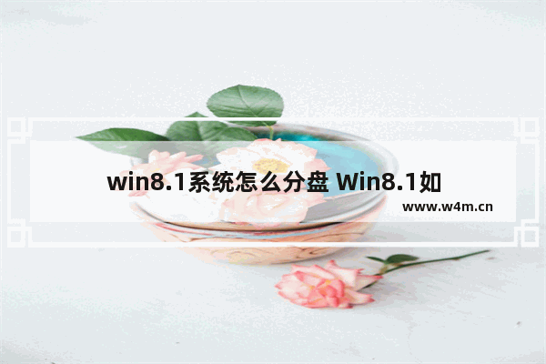 win8.1系统怎么分盘 Win8.1如何进行磁盘分区