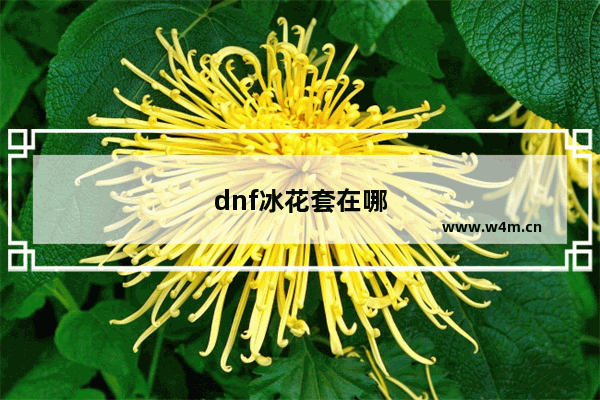 dnf冰花套在哪