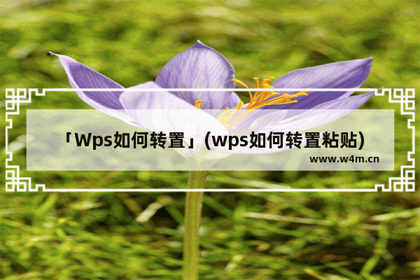 「Wps如何转置」(wps如何转置粘贴)