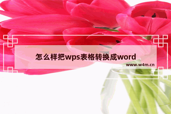 怎么样把wps表格转换成word