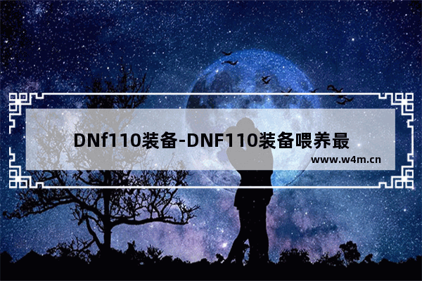 DNf110装备-DNF110装备喂养最高多少